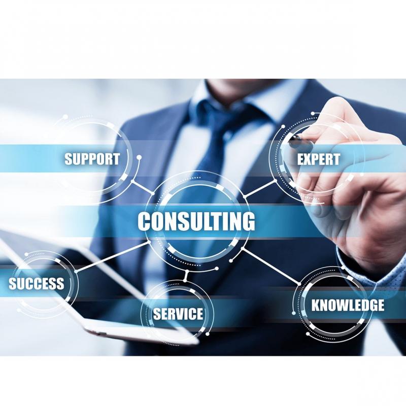 Consulting