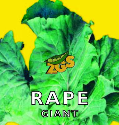 Rape Giant Seeds